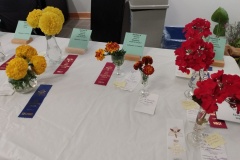 SFS-Class-A-Annuals-2
