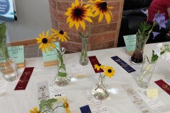 SFS-Class-B-Sunflowers